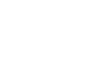 Veritas Forged